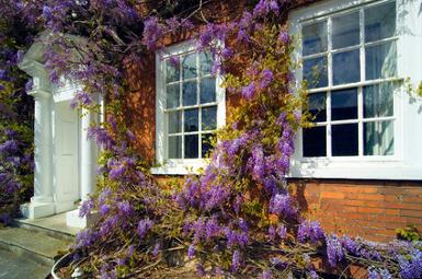 exterior painting Marlborough